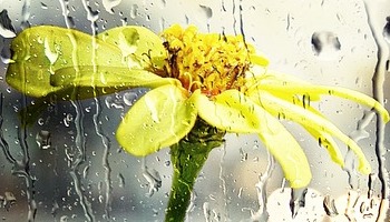 Energie update Blauwe Storm levenspad 22 april - 4 mei 2023: Kiezen voor nieuw leven